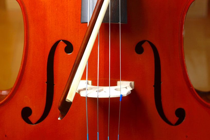 Cello by Thomas Jäger