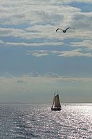 Onderweg naar Terschelling met de Friesland