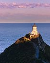 Nugget Point Lighthouse, New Zealand by Henk Meijer Photography thumbnail
