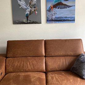 Customer photo: Fishing Kingfisher by Tariq La Brijn