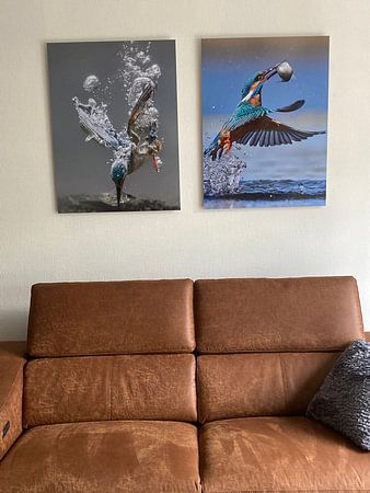 Kingfisher - In a flash