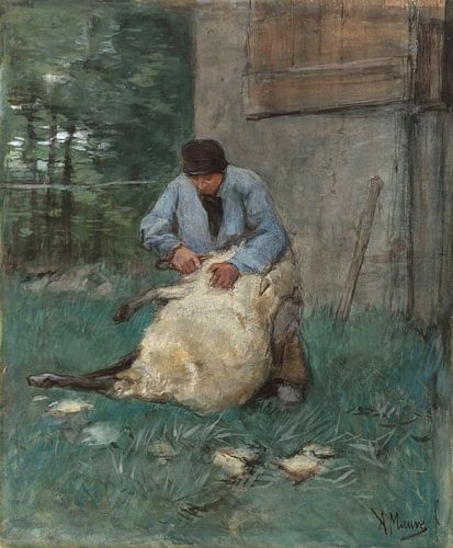 Schapenscheerder, Anton Mauve