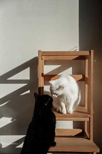 Eenvoudig samen (kleur) van Images by Saskia - Foto & Film