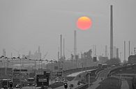 Shell Rotterdam met ondergaande zon van Anton de Zeeuw thumbnail