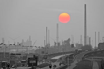 Shell Rotterdam met ondergaande zon
