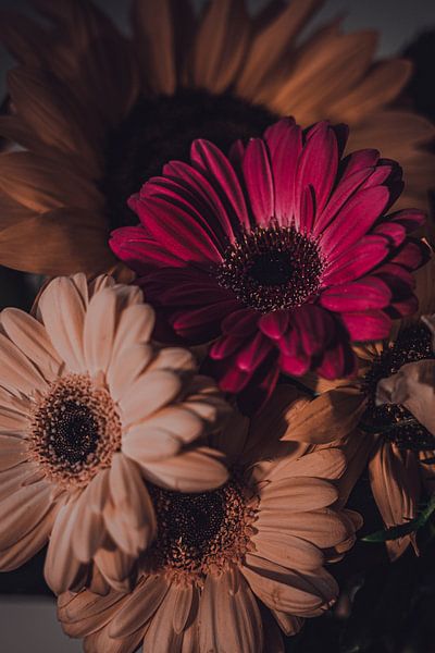 Stilleven Gerbera van Lisa Scheffler