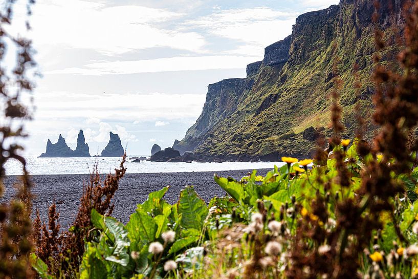 Rochers près de Vik par Thomas Heitz