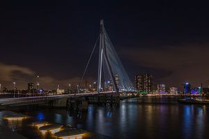 Der Schwan - Erasmus Brücke - Rotterdam