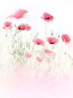 Bonheur