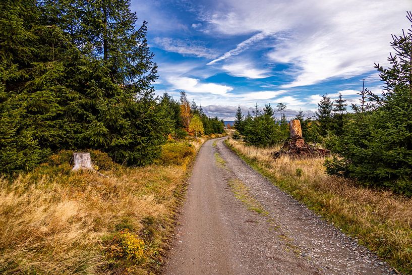 Randonnée automnale à travers le Spittergrund près de Tambach-Dietharz jusqu'à la cascade par Oliver Hlavaty