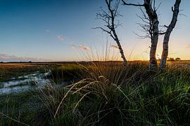 Ondergaande zon bij een ven op het Doldersummerveld