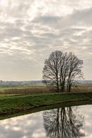 Reflection in moat 2