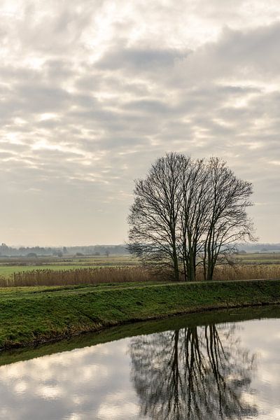 Reflection in moat 2 by Joost Potma