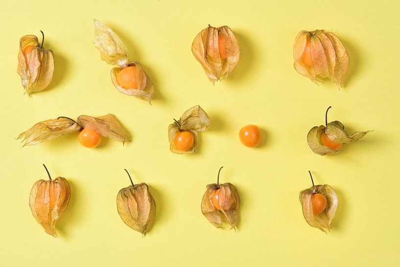 Gelbe Physalis von Ulrike Leone