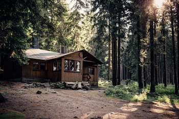 Waldhütte