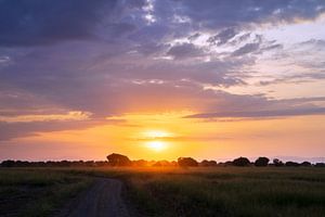 Landschaft, Uganda, Ostafrika