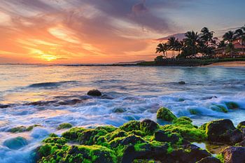 Coucher de soleil sur la plage de Brennecke, Kauai, Hawaii