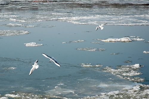 A flight over the frozen river
