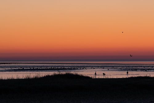 Zonsopgang over het Wad op Terschelling.