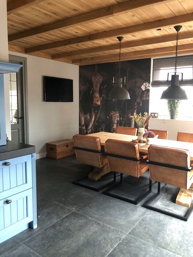 De koeien van boer Klein  van Inge Jansen 