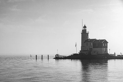 Paard van Marken (zwart Wit)