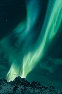Nordlichter über den Lofoten in Norwegen im Winter