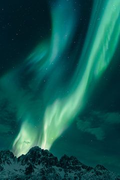 Northern Lights over the Lofoten Islands in Norway during winter by Sjoerd van der Wal Photography