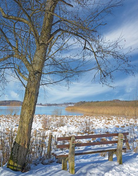 Dreifelder pond in winter by Peter Eckert