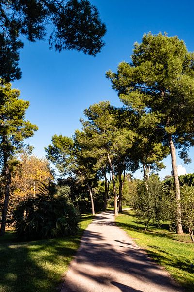 Turia Park van Dieter Walther