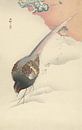 Fasanenpaar im Schnee von Ohara Koson von Gave Meesters Miniaturansicht