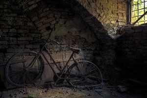 Vieux vélo en cave sur Perry Wiertz