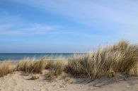 dunes par Ostsee Bilder Aperçu