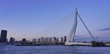 Erasmusbrug - Rotterdam van Gerard Van Delft