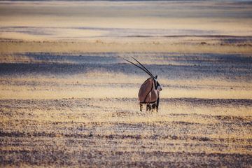 De Samoerai van Aus van Loris Photography