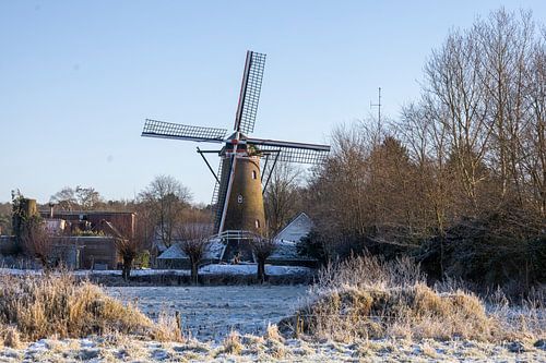 Molen Johanna Huijbergen Brabantse Wal