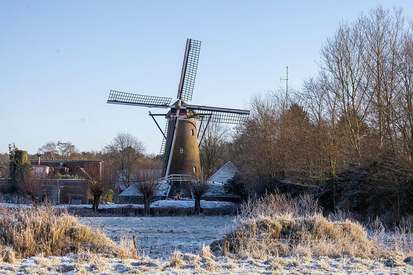 Mill Johanna Huijbergen Brabantse Wal by Jolanda Hugens Kommers