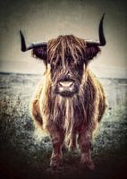 Schottischer Highlander in Grün