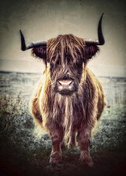 Highlander écossais en vert