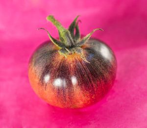 Schokolade gestreifte Tomate auf Rosa
