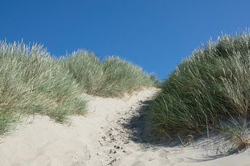 traversée des dunes sur Hanneke Bantje