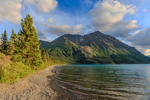 Schilderachtige oever van een rustig meer met bergen en bomen in de natuur van Alaska.