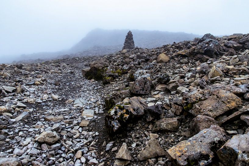 Op weg naar de top (Ben Nevis, Schotland) van Paul van Putten