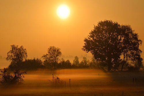 Zonsopgang zomer Nederland Twente