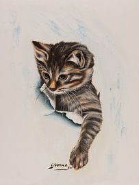 Muschi. von Yvonne Weijers van Hout