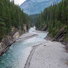 Rivier met smeltwater in Banff National Park, Canada van Sofie Bogaert