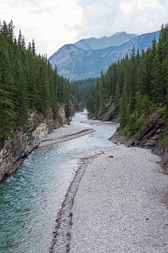 Rivier met smeltwater in Banff National Park, Canada van Sofie Bogaert