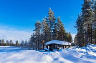Landscape with snow in winter in Kuusamo, Finland by Rico Ködder thumbnail