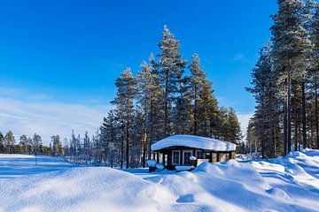 Landschap met sneeuw in de winter in Kuusamo, Finland van Rico Ködder