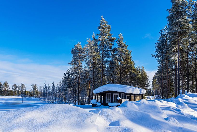 Landscape with snow in winter in Kuusamo, Finland by Rico Ködder