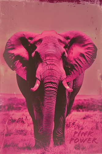 Roze Kracht | Roze Olifant